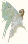 (image for) Bluebell Fairy
